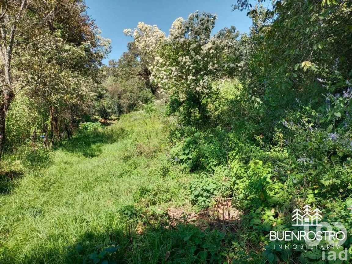 Terreno en Venta en Godínez O Tehuastepec, Valle de Bravo, Estado de México | NEX-274895 | iad México | Foto 9 de 14