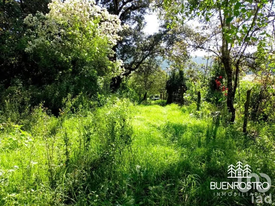 Terreno en Venta en Godínez O Tehuastepec, Valle de Bravo, Estado de México | NEX-274895 | iad México | Foto 10 de 14