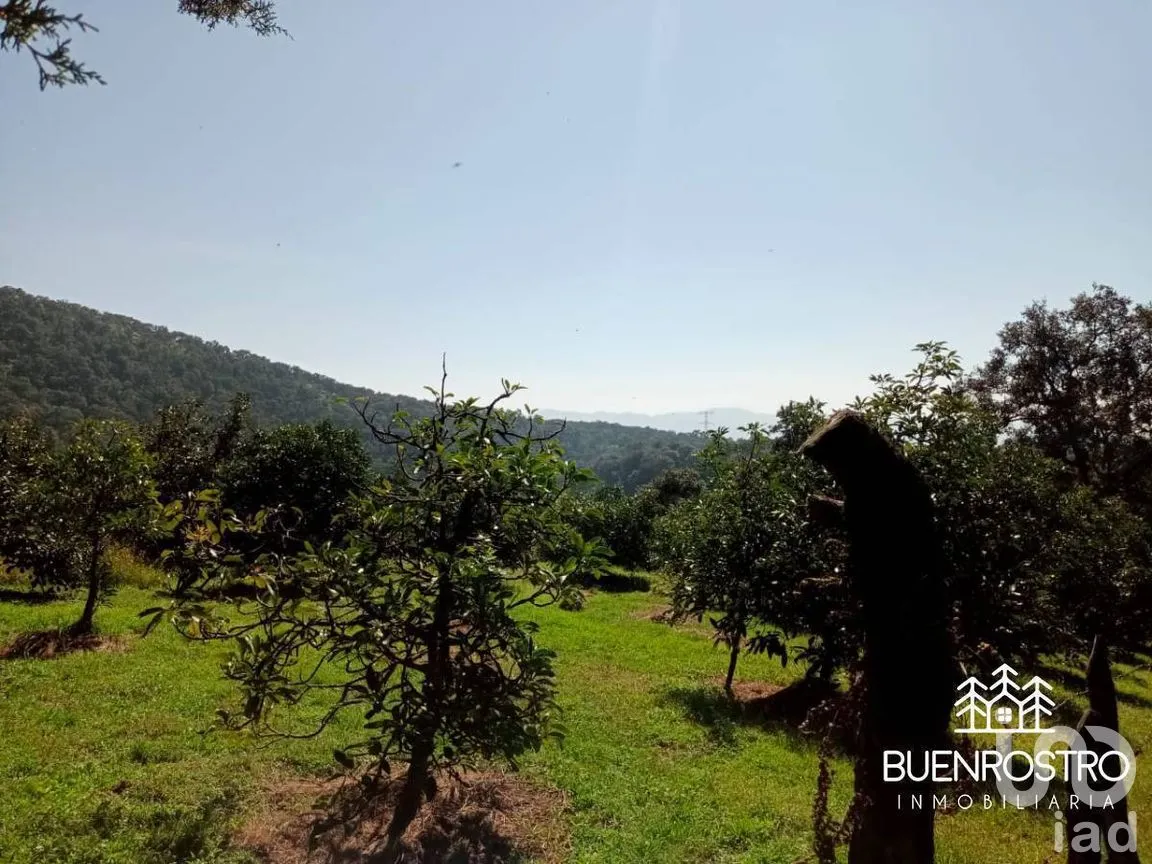 Terreno en Venta en Godínez O Tehuastepec, Valle de Bravo, Estado de México | NEX-274895 | iad México | Foto 1 de 14