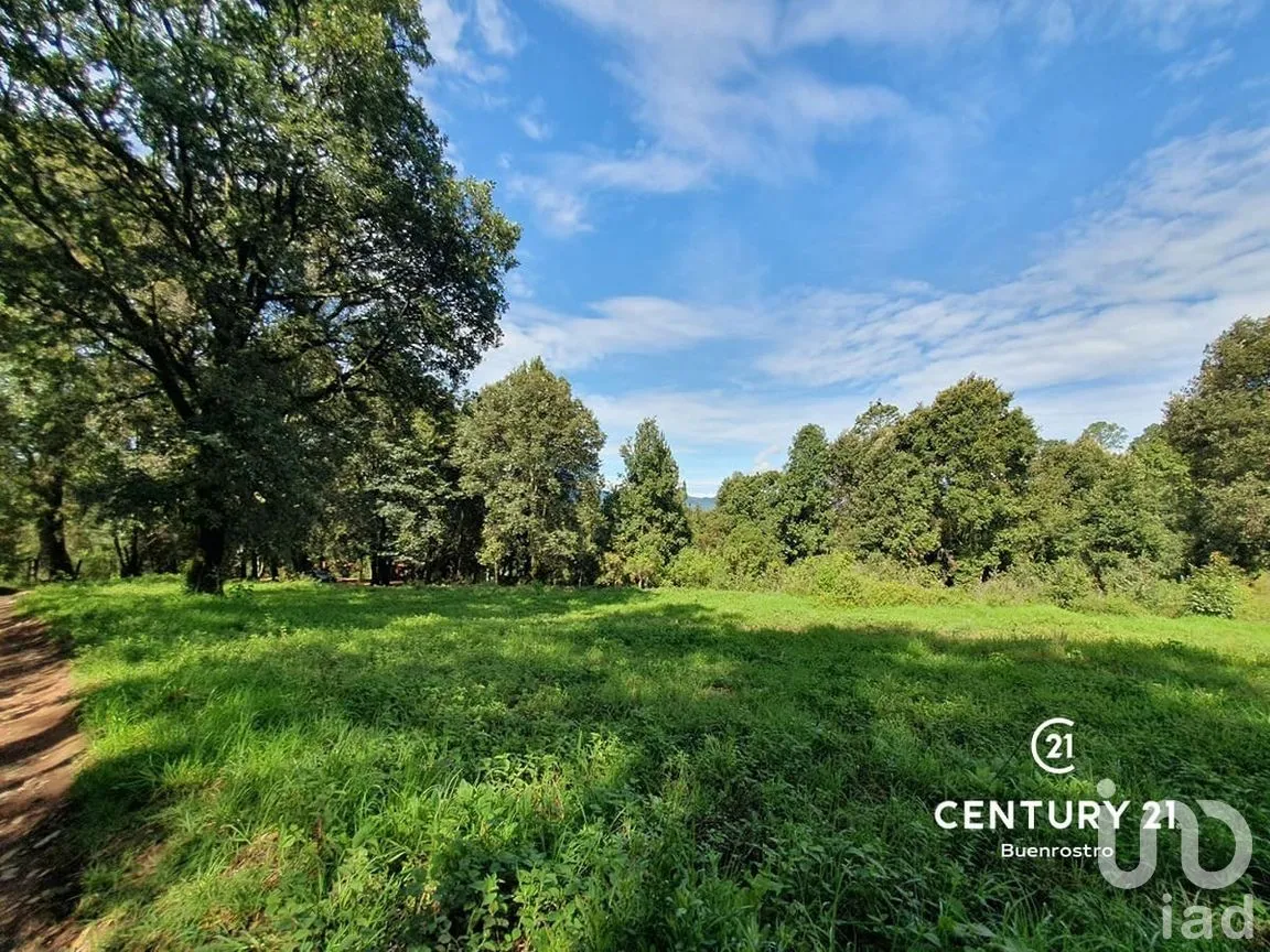 Terreno en Venta en San Simón el Alto, Valle de Bravo, Estado de México | NEX-274918 | iad México | Foto 4 de 14