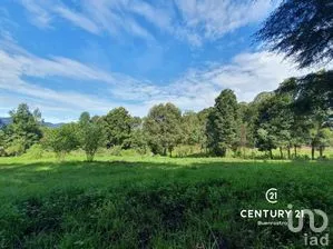 NEX-274918 - Terreno en Venta en San Simón el Alto, CP 51240, Estado de México.