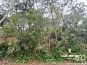 NEX-274922 - Terreno en Venta en Avándaro, CP 51200, Estado de México.