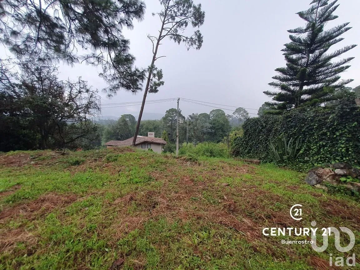 Terreno en Venta en Avándaro, Valle de Bravo, Estado de México | NEX-274924 | iad México | Foto 13 de 15