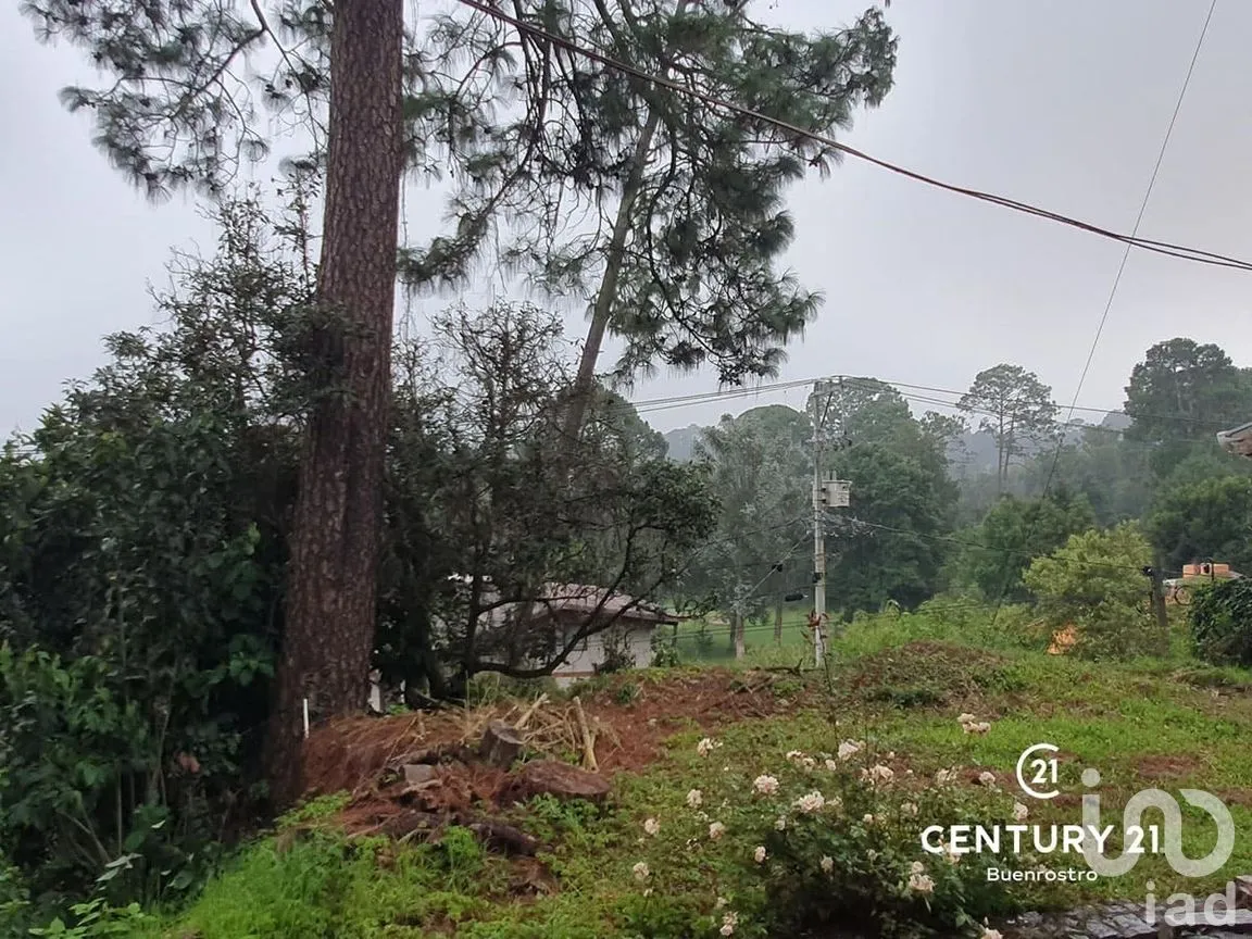 Terreno en Venta en Avándaro, Valle de Bravo, Estado de México | NEX-274924 | iad México | Foto 15 de 15
