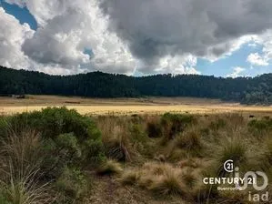 NEX-275056 - Terreno en Venta en Amanalco de Becerra, CP 51260, Estado de México.