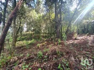 NEX-277042 - Terreno en Venta en San Simón el Alto, CP 51240, Estado de México.