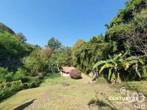 NEX-281836 - Terreno en Venta en Avándaro, CP 51200, Estado de México.