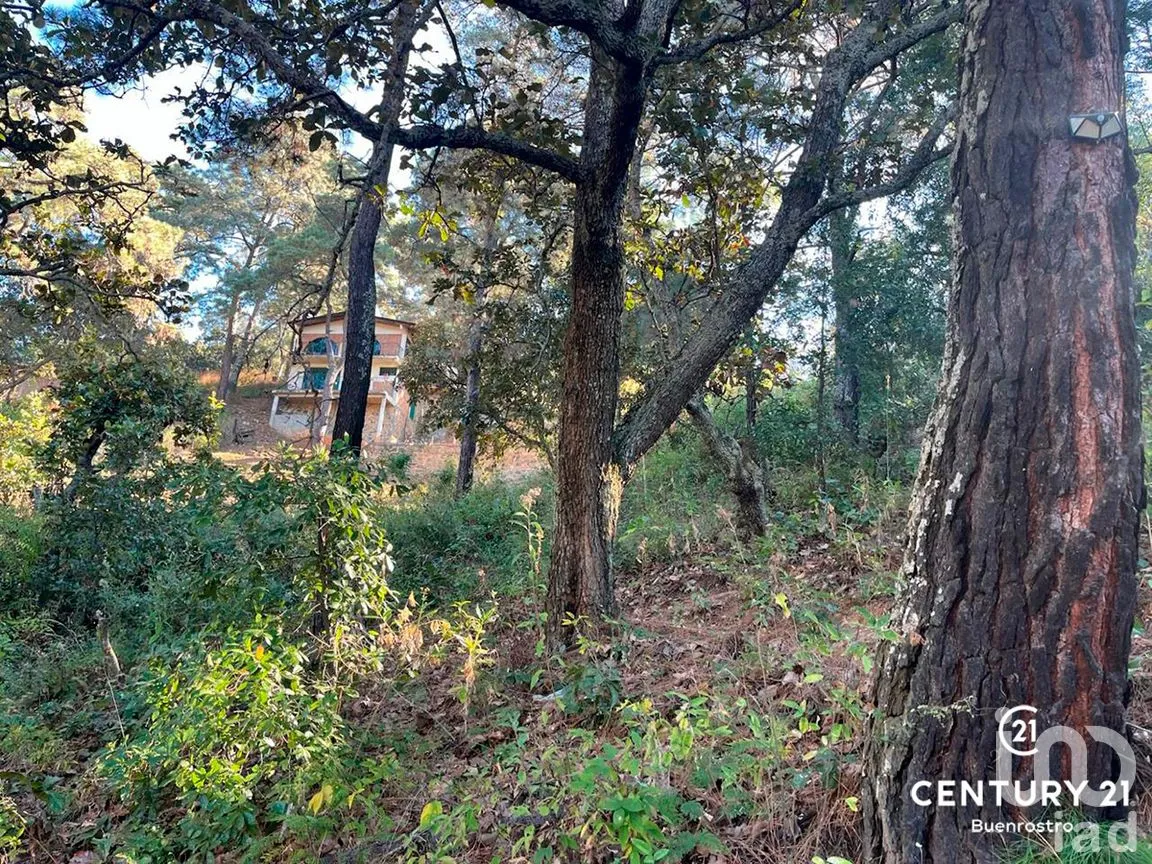 Terreno en Venta en San Gaspar, Valle de Bravo, Estado de México | NEX-281841 | iad México | Foto 11 de 22