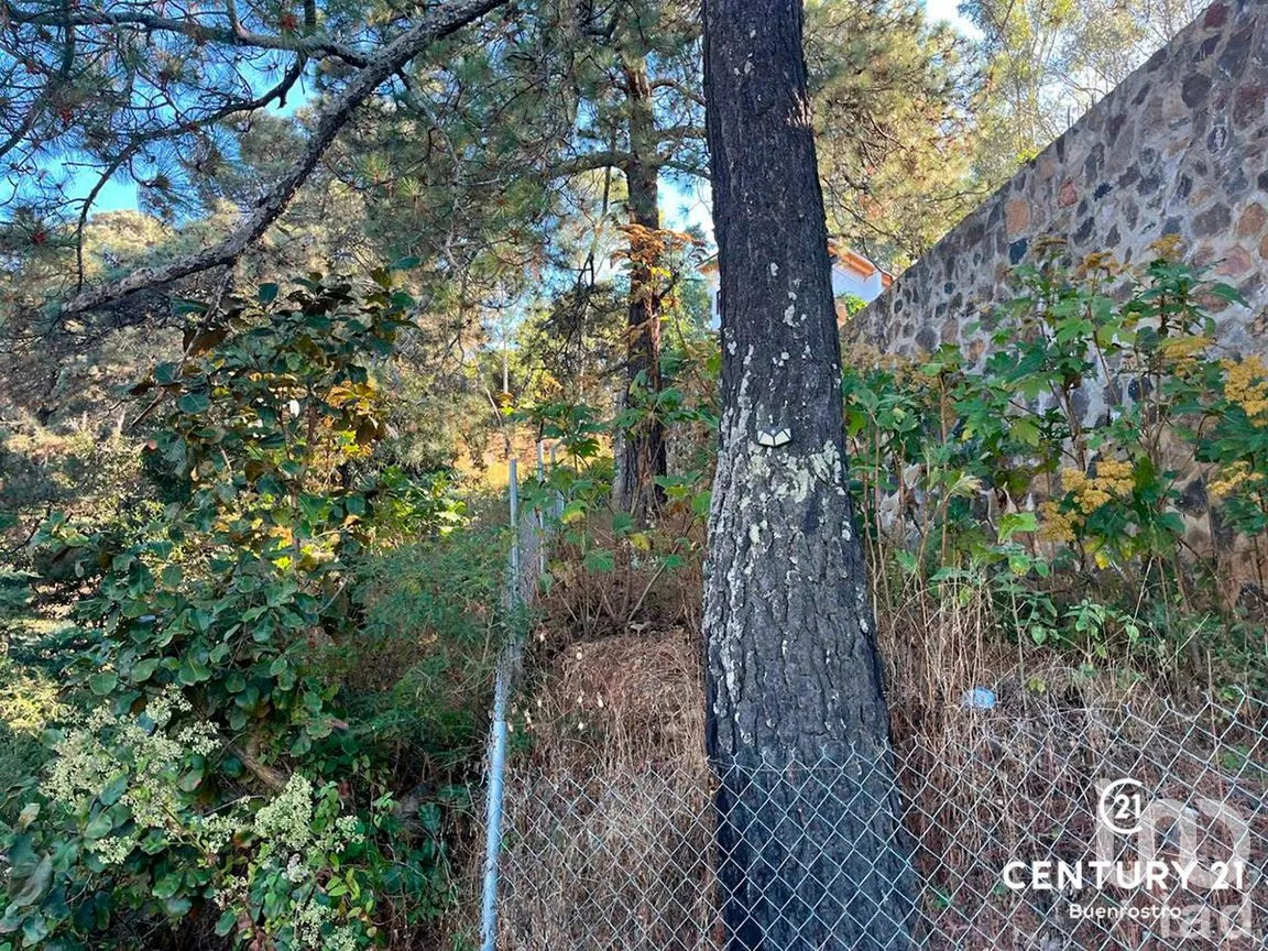 Terreno en Venta en San Gaspar, Valle de Bravo, Estado de México | NEX-281841 | iad México | Foto 12 de 22