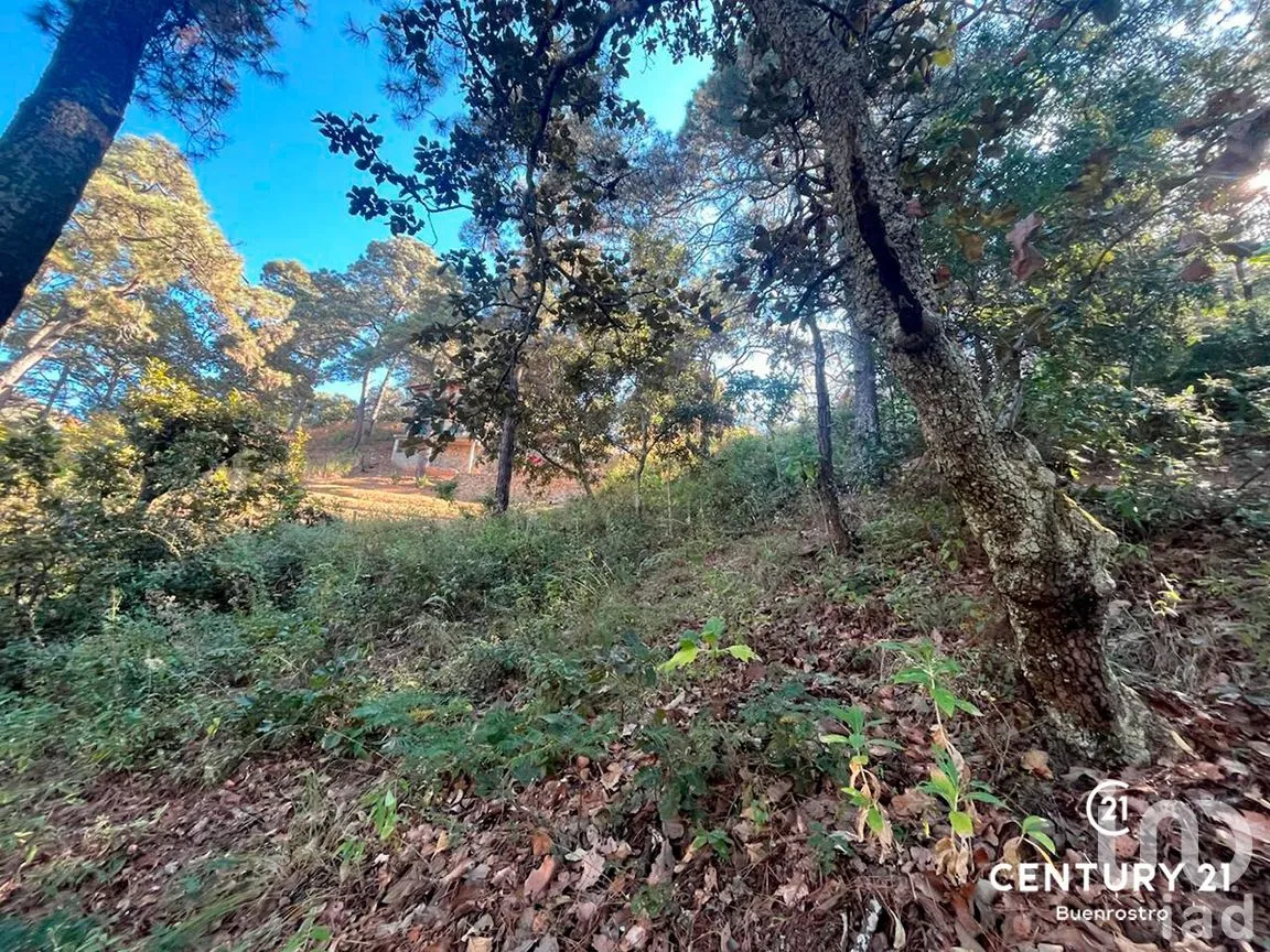 Terreno en Venta en San Gaspar, Valle de Bravo, Estado de México | NEX-281841 | iad México | Foto 13 de 22