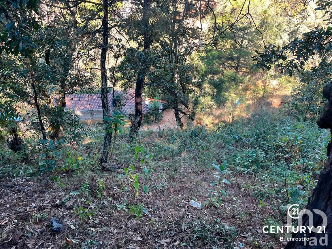 Terreno en Venta en San Gaspar, Valle de Bravo, Estado de México | NEX-281841 | iad México | Foto 14 de 22