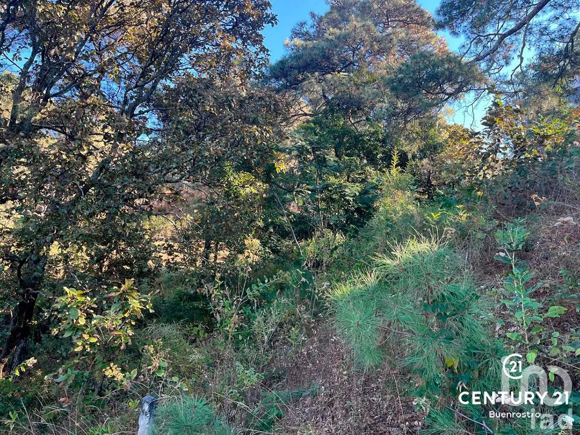 Terreno en Venta en San Gaspar, Valle de Bravo, Estado de México | NEX-281841 | iad México | Foto 15 de 22
