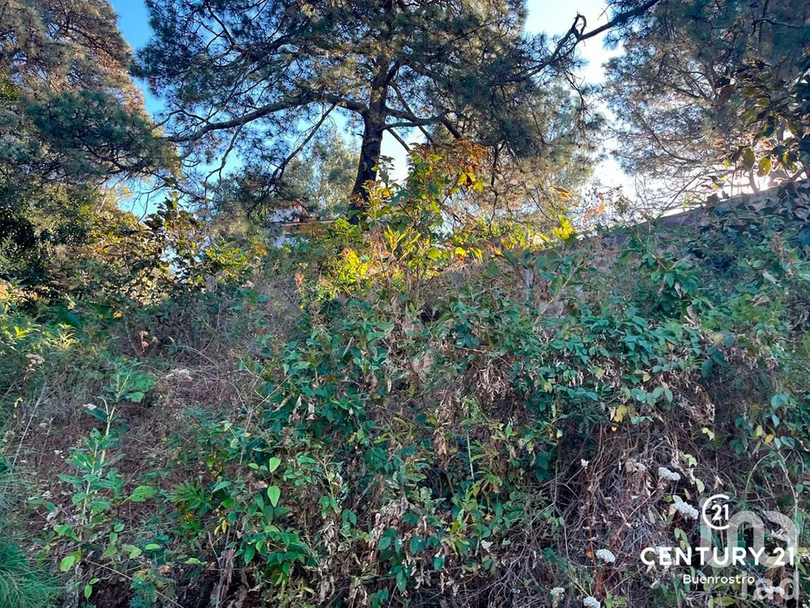 Terreno en Venta en San Gaspar, Valle de Bravo, Estado de México | NEX-281841 | iad México | Foto 16 de 22