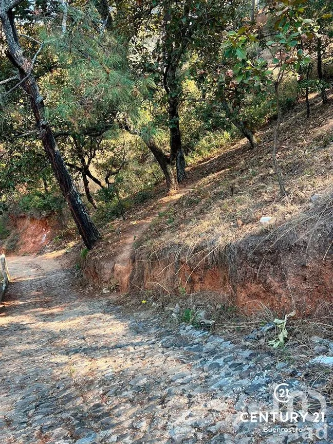 Terreno en Venta en San Gaspar, Valle de Bravo, Estado de México | NEX-281841 | iad México | Foto 18 de 22