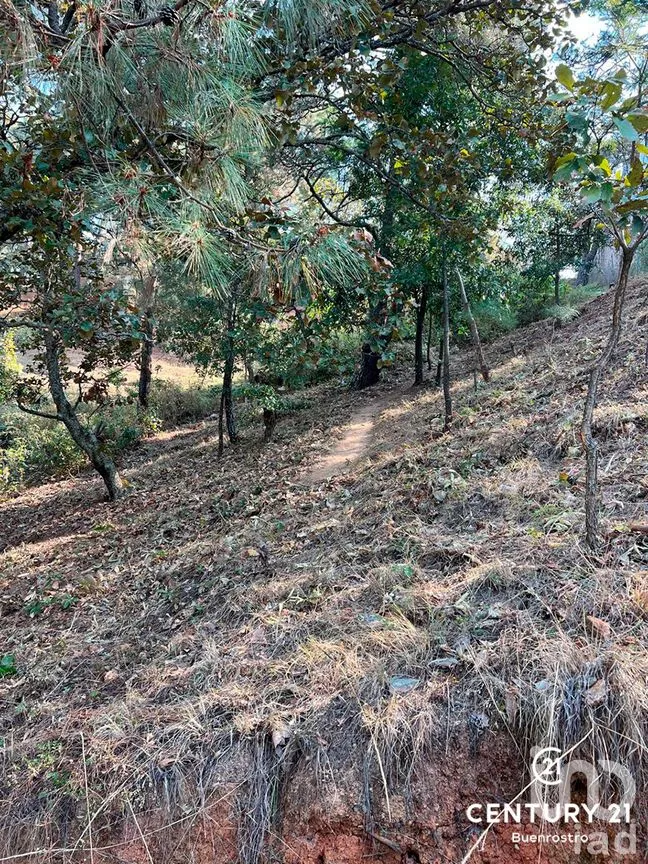 Terreno en Venta en San Gaspar, Valle de Bravo, Estado de México | NEX-281841 | iad México | Foto 19 de 22