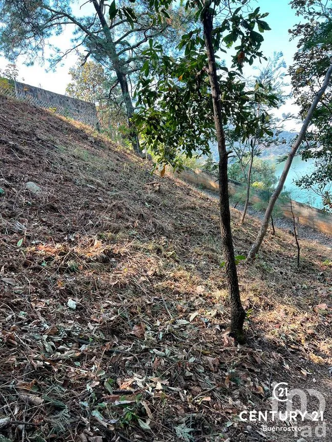 Terreno en Venta en San Gaspar, Valle de Bravo, Estado de México | NEX-281841 | iad México | Foto 21 de 22