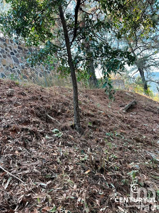 Terreno en Venta en San Gaspar, Valle de Bravo, Estado de México | NEX-281841 | iad México | Foto 22 de 22