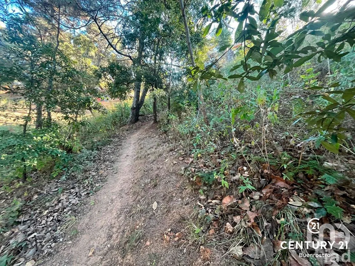 Terreno en Venta en San Gaspar, Valle de Bravo, Estado de México | NEX-281841 | iad México | Foto 4 de 22