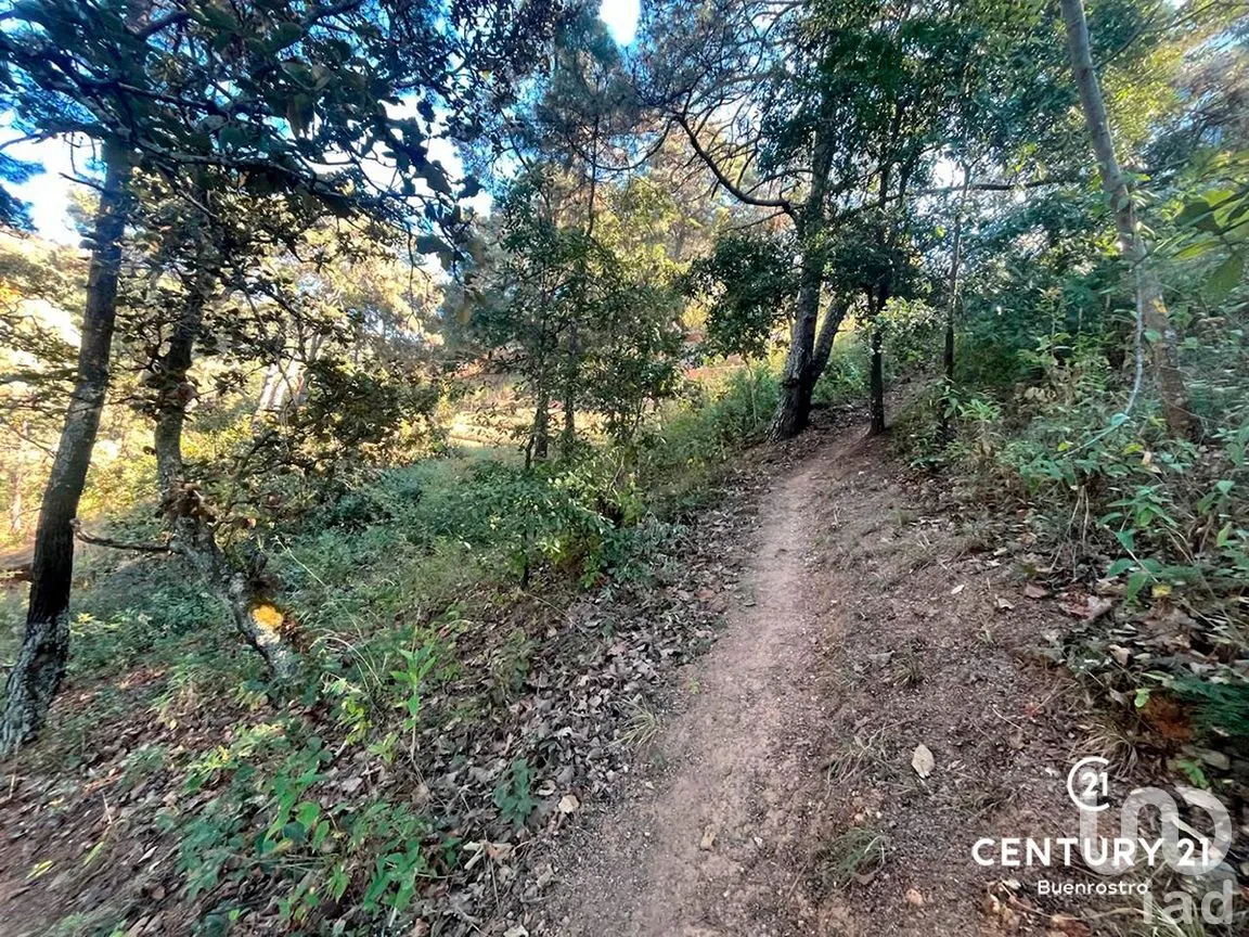 Terreno en Venta en San Gaspar, Valle de Bravo, Estado de México | NEX-281841 | iad México | Foto 5 de 22