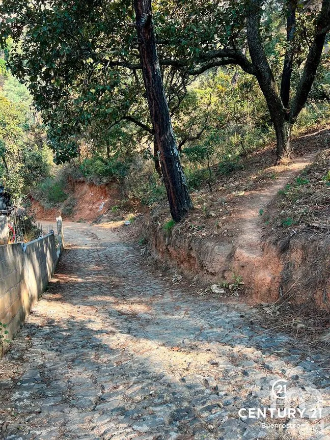 Terreno en Venta en San Gaspar, Valle de Bravo, Estado de México | NEX-281841 | iad México | Foto 6 de 22