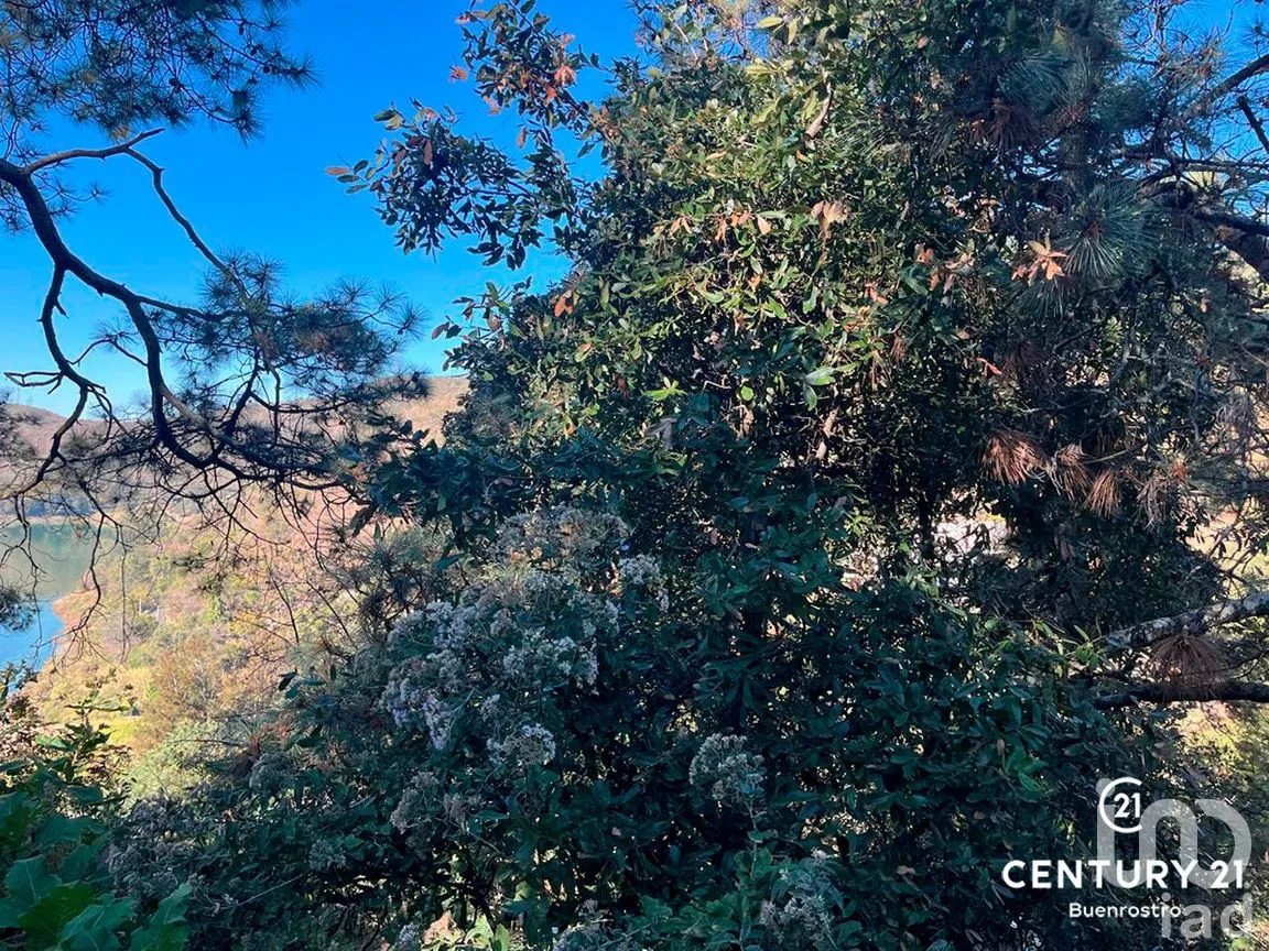 Terreno en Venta en San Gaspar, Valle de Bravo, Estado de México | NEX-281841 | iad México | Foto 7 de 22
