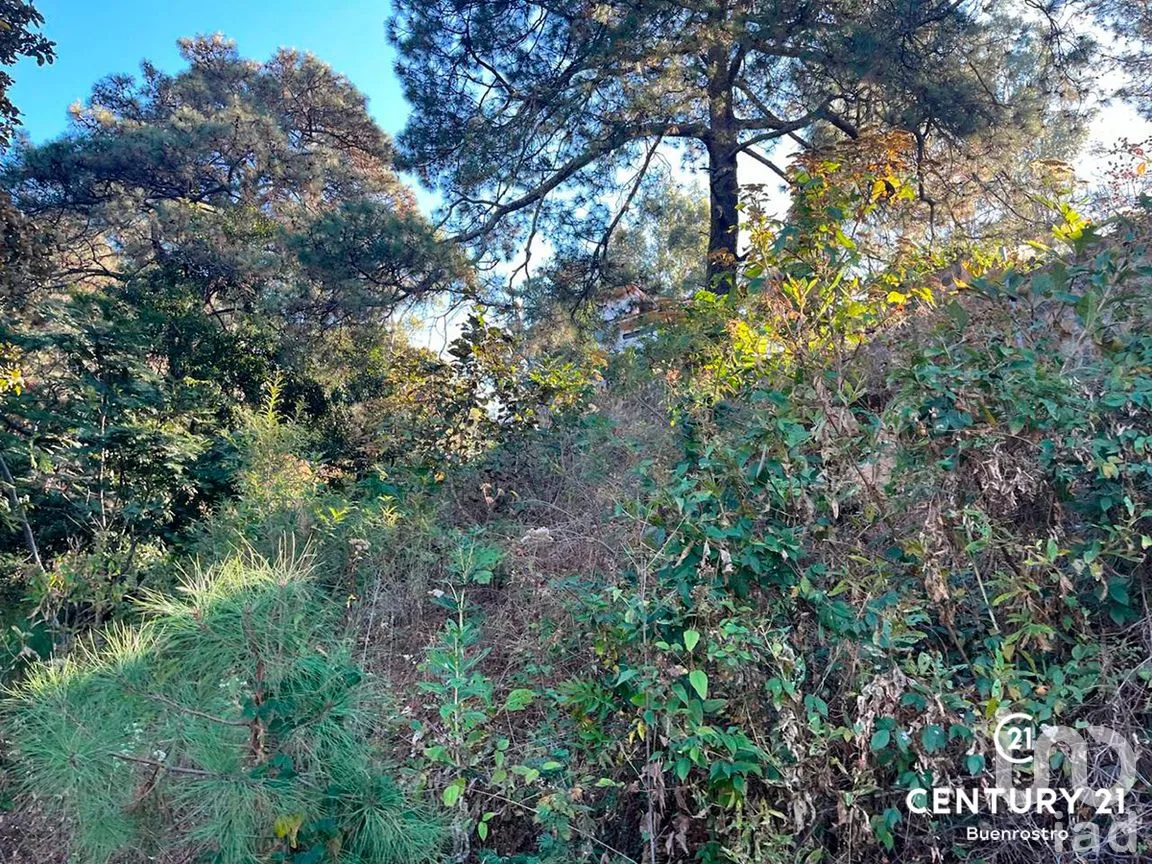 Terreno en Venta en San Gaspar, Valle de Bravo, Estado de México | NEX-281841 | iad México | Foto 8 de 22