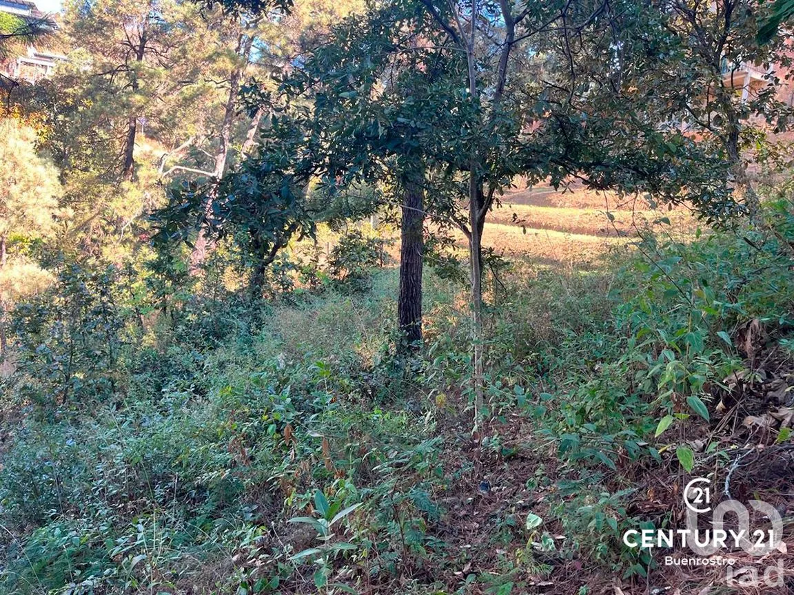 Terreno en Venta en San Gaspar, Valle de Bravo, Estado de México | NEX-281841 | iad México | Foto 9 de 22