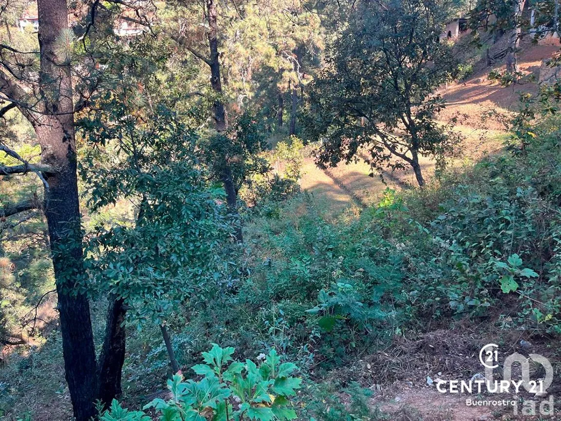Terreno en Venta en San Gaspar, Valle de Bravo, Estado de México | NEX-281841 | iad México | Foto 10 de 22