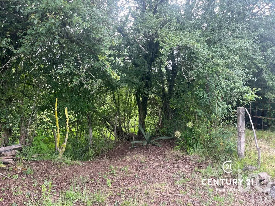 Casa en Venta en Cuadrilla de Dolores, Valle de Bravo, Estado de México | NEX-281843 | iad México | Foto 6 de 7