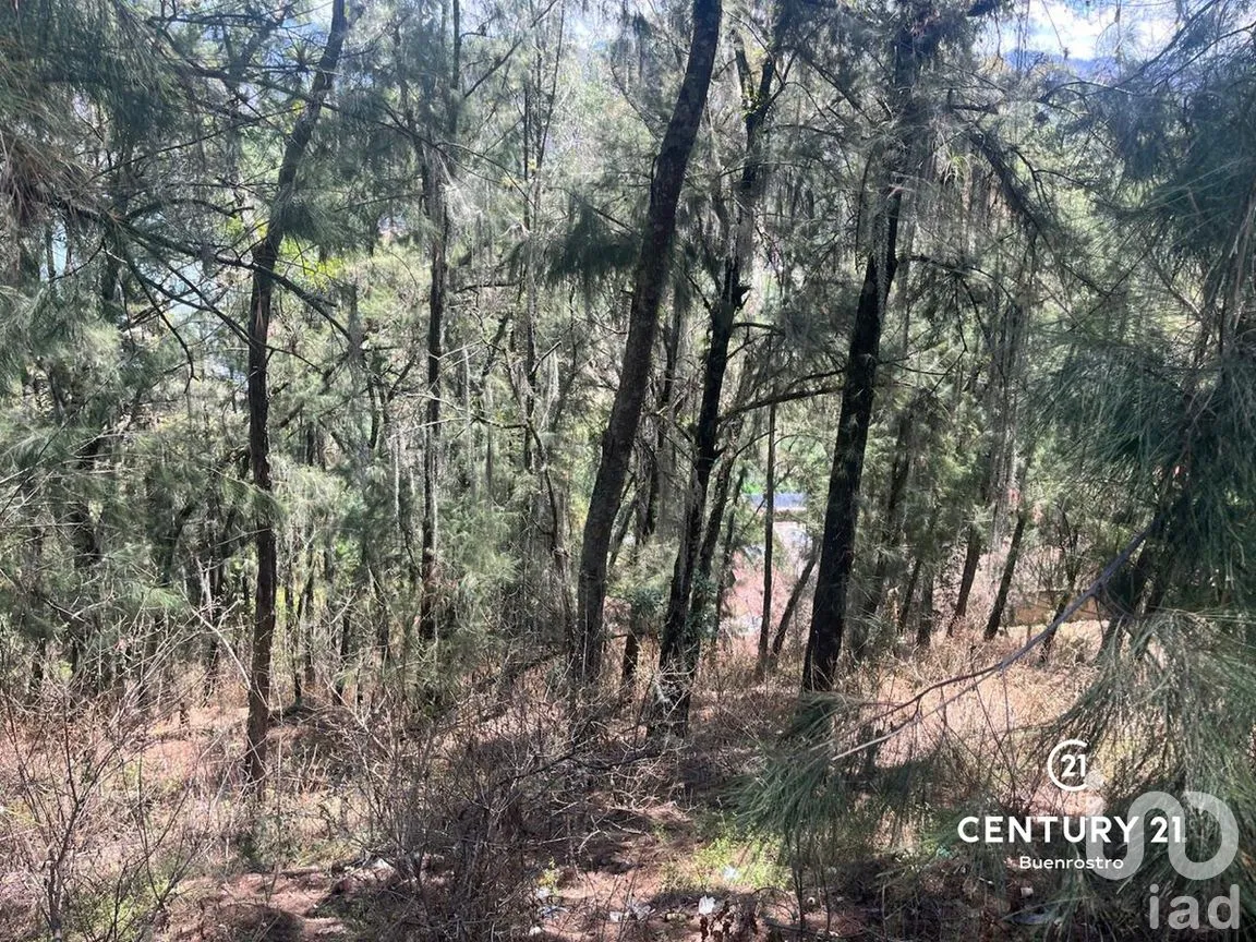 Terreno en Venta en La Peña, Valle de Bravo, Estado de México | NEX-281844 | iad México | Foto 2 de 6