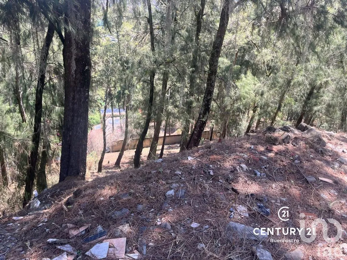 Terreno en Venta en La Peña, Valle de Bravo, Estado de México | NEX-281844 | iad México | Foto 3 de 6