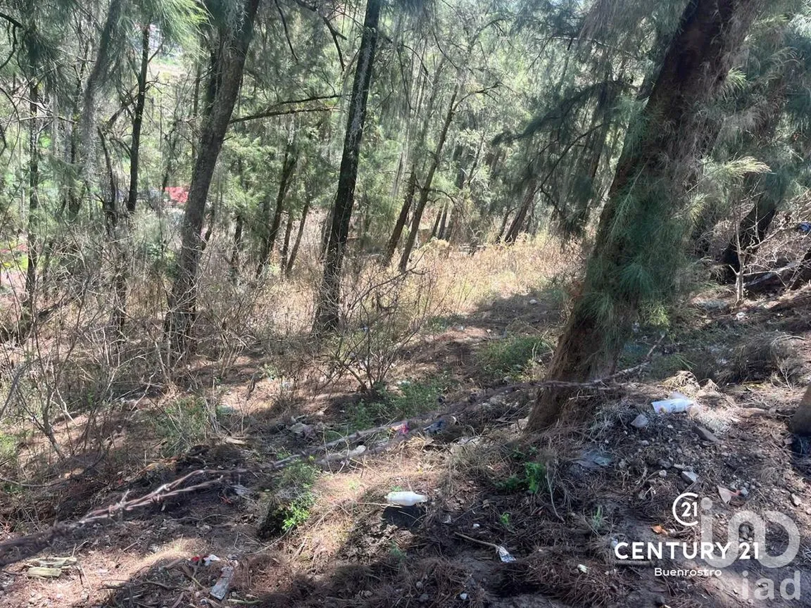 Terreno en Venta en La Peña, Valle de Bravo, Estado de México | NEX-281844 | iad México | Foto 4 de 6
