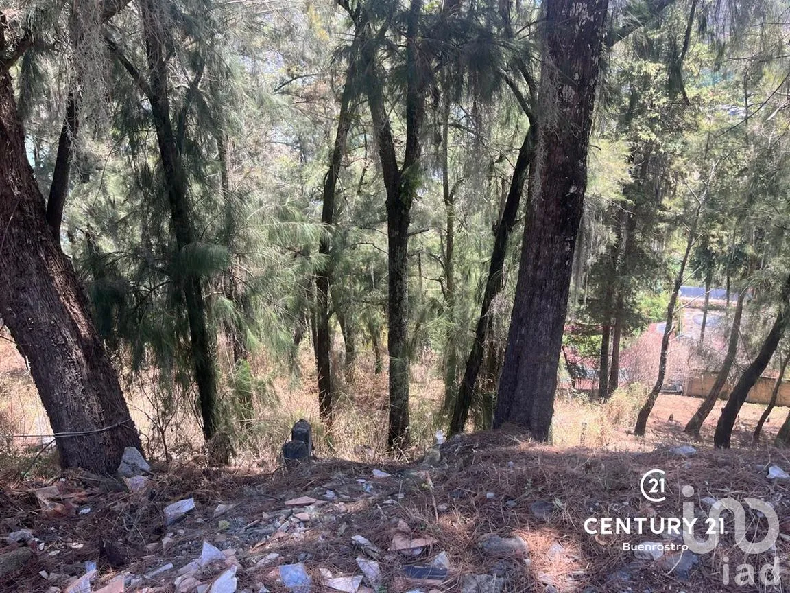 Terreno en Venta en La Peña, Valle de Bravo, Estado de México | NEX-281844 | iad México | Foto 5 de 6