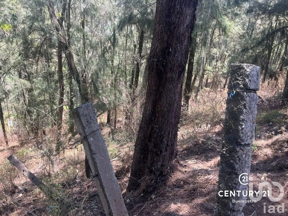 Terreno en Venta en La Peña, Valle de Bravo, Estado de México | NEX-281844 | iad México | Foto 6 de 6