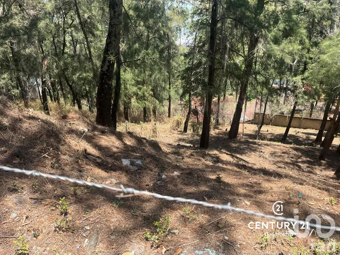 Terreno en Venta en La Peña, Valle de Bravo, Estado de México | NEX-281844 | iad México | Foto 1 de 6