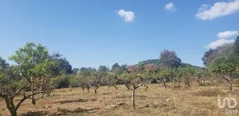 NEX-281858 - Terreno en Venta en Godínez O Tehuastepec, CP 51245, Estado de México.