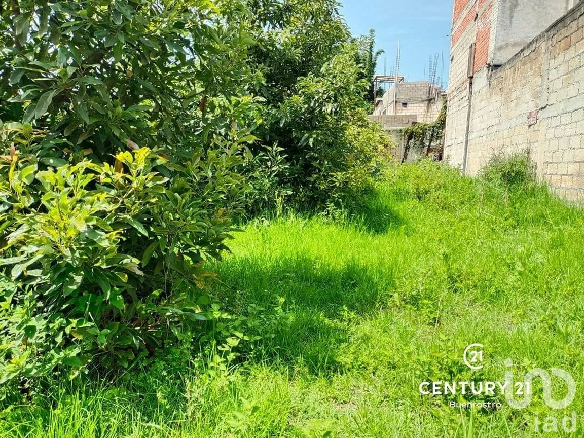 Terreno en Venta en Valle de Bravo, Valle de Bravo, Estado de México | NEX-283142 | iad México | Foto 9 de 9