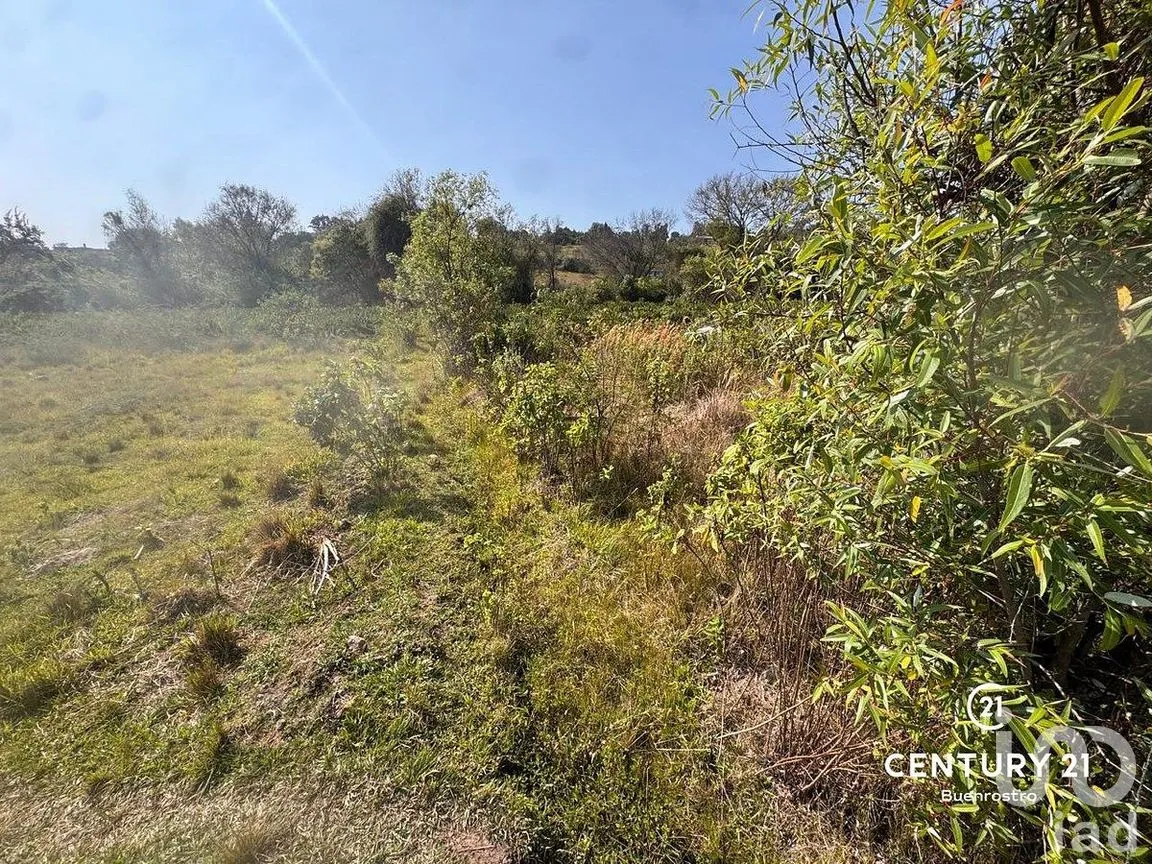 Terreno en Venta en Santa Magdalena Tilostoc, Valle de Bravo, Estado de México | NEX-288731 | iad México | Foto 2 de 8