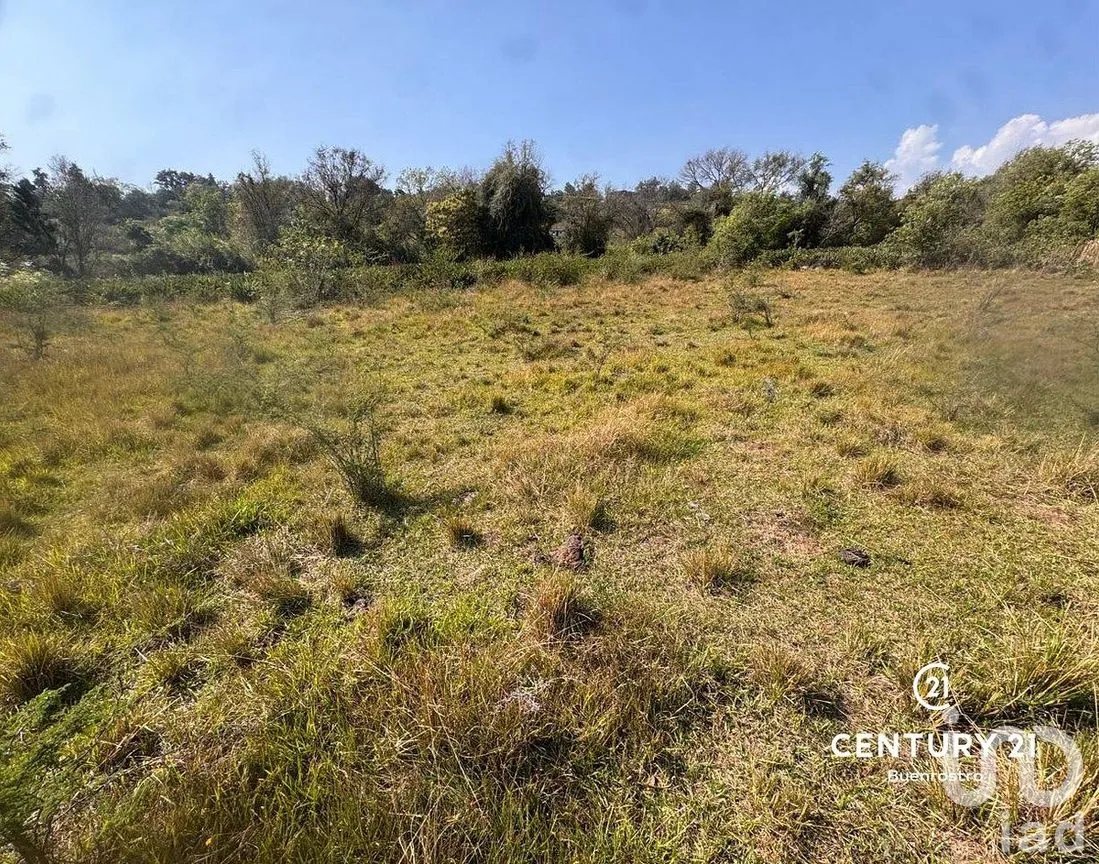 Terreno en Venta en Santa Magdalena Tilostoc, Valle de Bravo, Estado de México | NEX-288731 | iad México | Foto 3 de 8