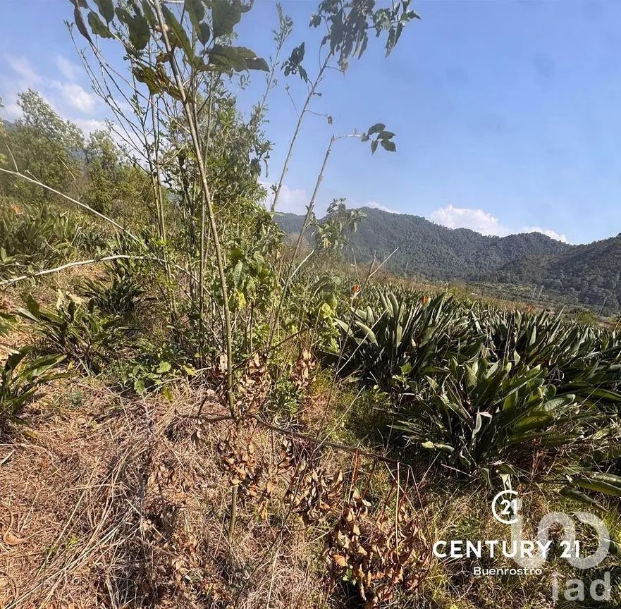 Terreno en Venta en Santa Magdalena Tilostoc, Valle de Bravo, Estado de México | NEX-288731 | iad México | Foto 4 de 8