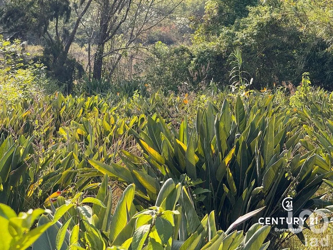 Terreno en Venta en Santa Magdalena Tilostoc, Valle de Bravo, Estado de México | NEX-288731 | iad México | Foto 5 de 8