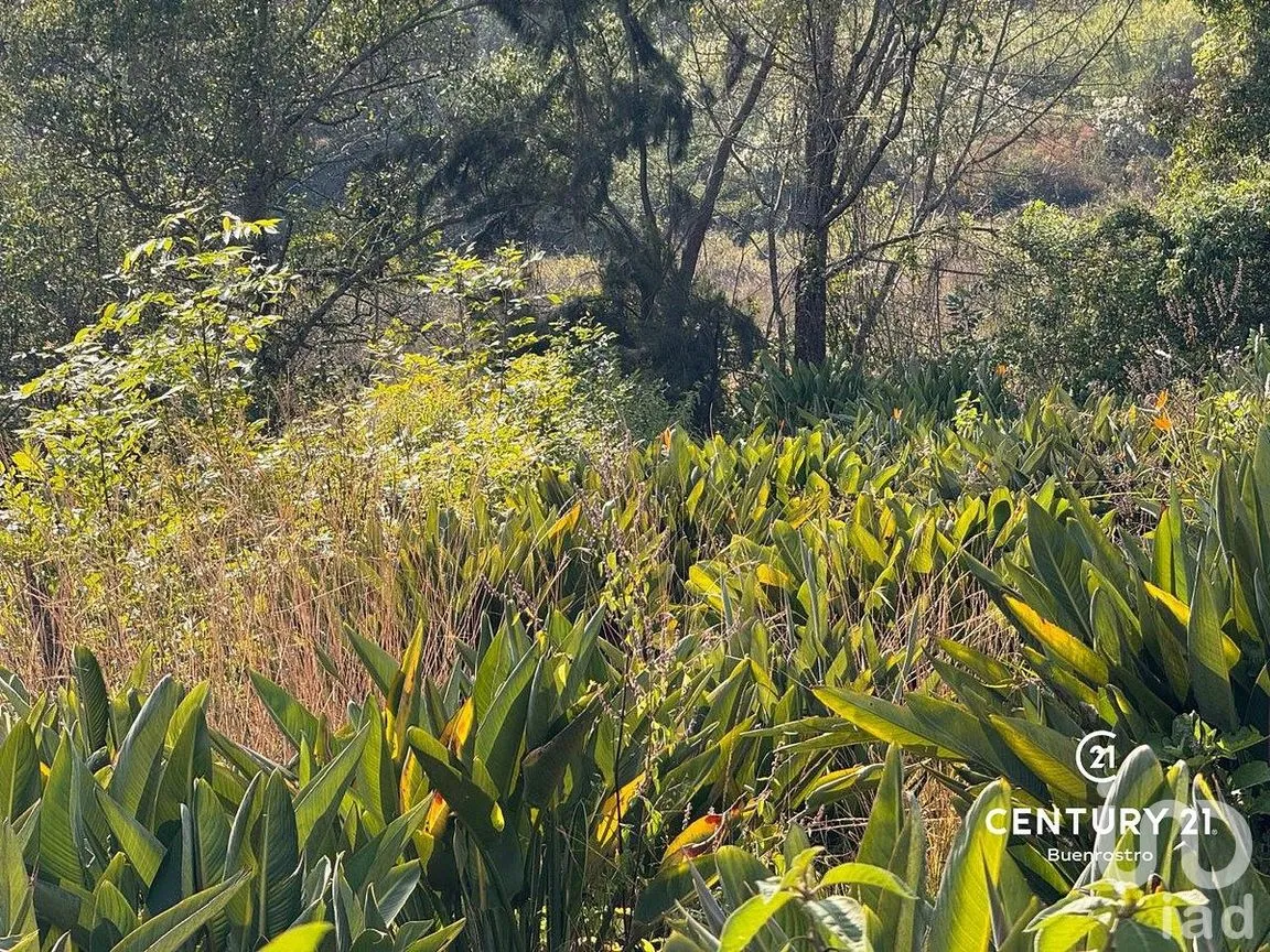 Terreno en Venta en Santa Magdalena Tilostoc, Valle de Bravo, Estado de México | NEX-288731 | iad México | Foto 6 de 8