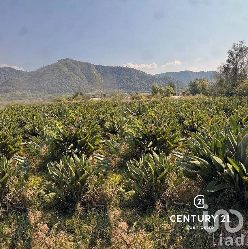 Terreno en Venta en Santa Magdalena Tilostoc, Valle de Bravo, Estado de México | NEX-288731 | iad México | Foto 1 de 8