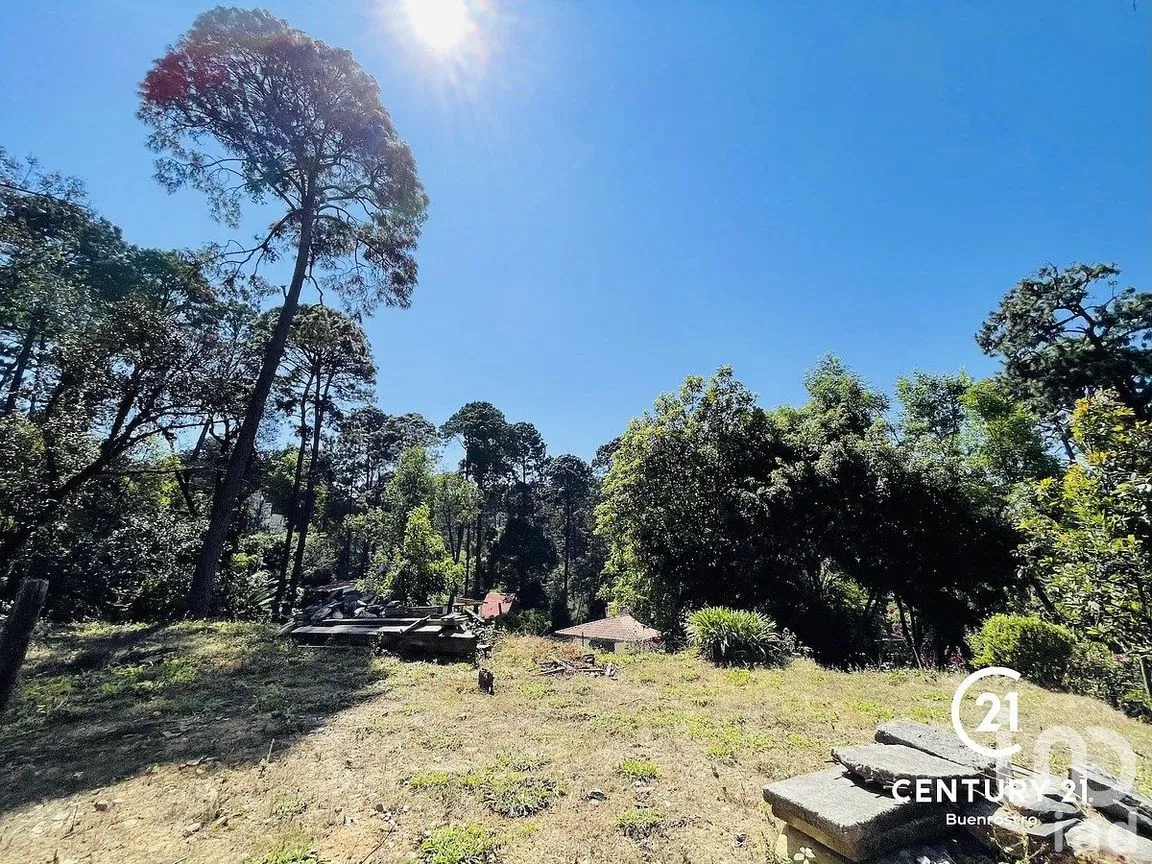 Terreno en Venta en Avándaro, Valle de Bravo, Estado de México | NEX-292960 | iad México | Foto 9 de 10
