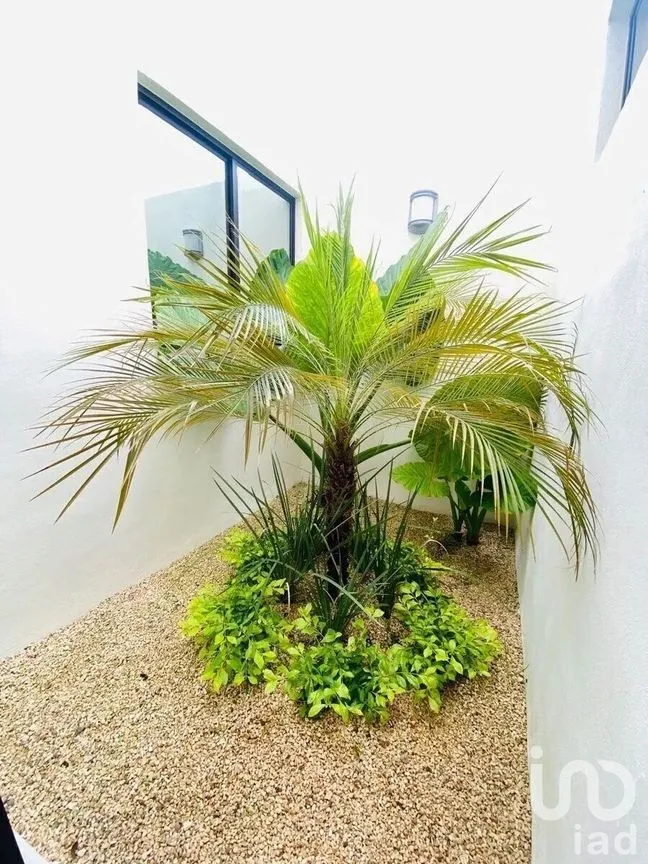 Casa en Venta en Conkal, Conkal, Yucatán | NEX-228831 | iad México | Foto 6 de 12
