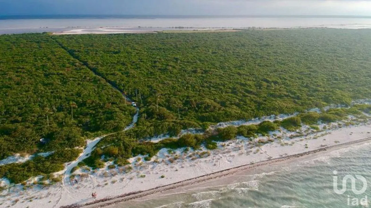 Terreno en Venta en El Cuyo, Tizimín, Yucatán | NEX-268446 | iad México | Foto 2 de 5