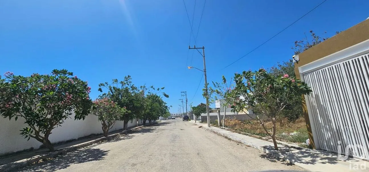 Terreno en Venta en Dzityá, Mérida, Yucatán | NEX-271363 | iad México | Foto 3 de 5