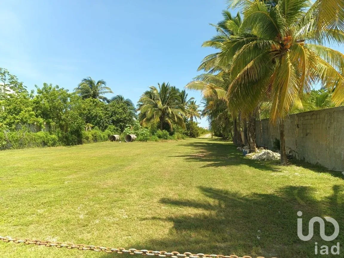 Terreno en Venta en El Cuyo, Tizimín, Yucatán | NEX-272204 | iad México | Foto 3 de 4