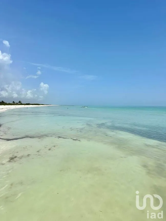 Terreno en Venta en El Cuyo, Tizimín, Yucatán | NEX-272204 | iad México | Foto 4 de 4