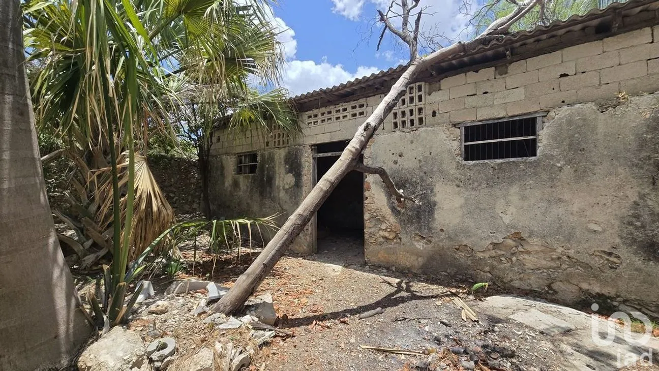 Casa en Venta en Mérida Centro, Mérida, Yucatán | NEX-277141 | iad México | Foto 9 de 13